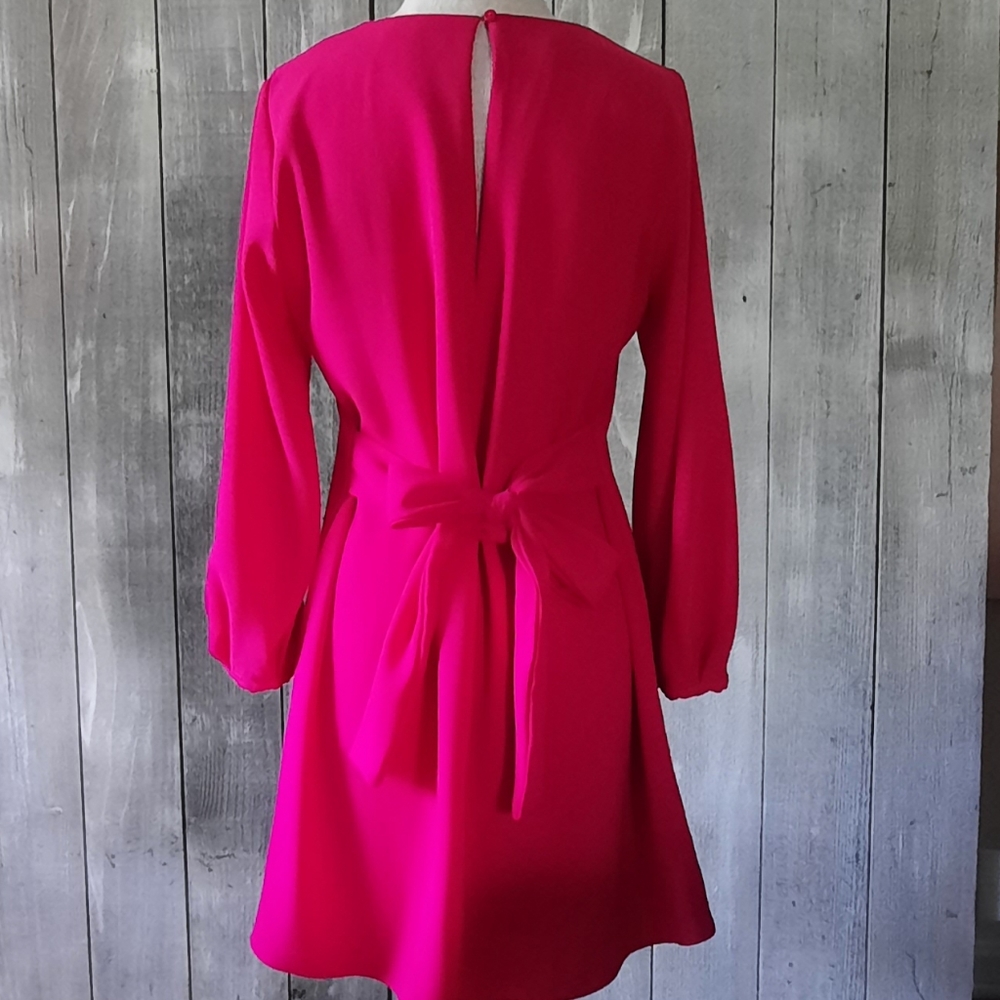 NWOT Zara Fuschia Pink A line dress Small